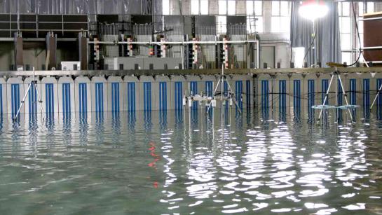 multi-directional wave paddle