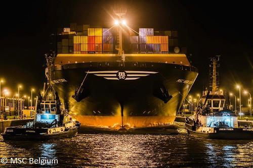 MSC New York.jpg